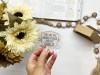 Encouraging Clear Waterproof Bible Verse Stickers Pack