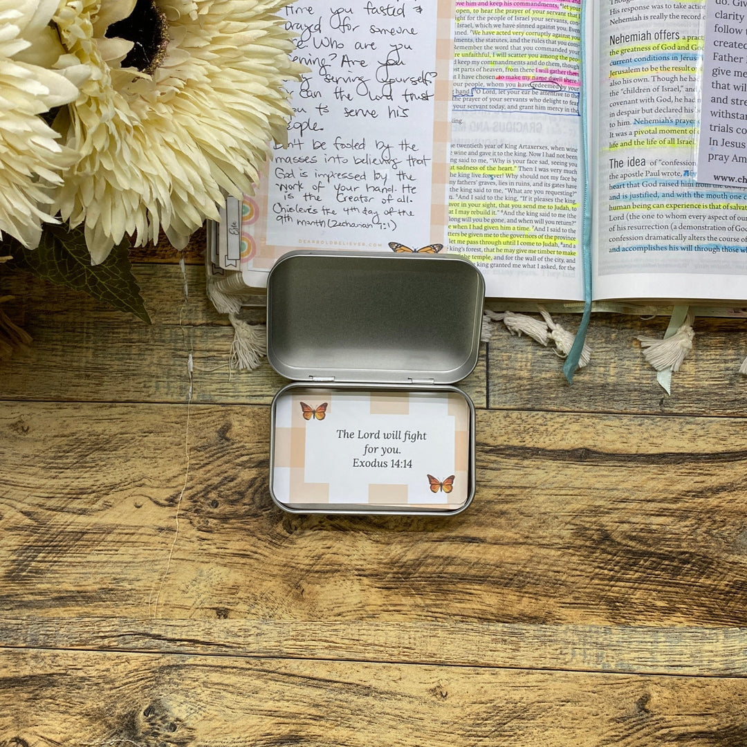 Gingham Who God says I am Kids Bible Verse Cards in Tin