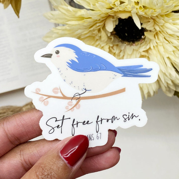 Who God Says You Are Bird Bible Verse Sticker - Waterproof Vinyl (3x2")